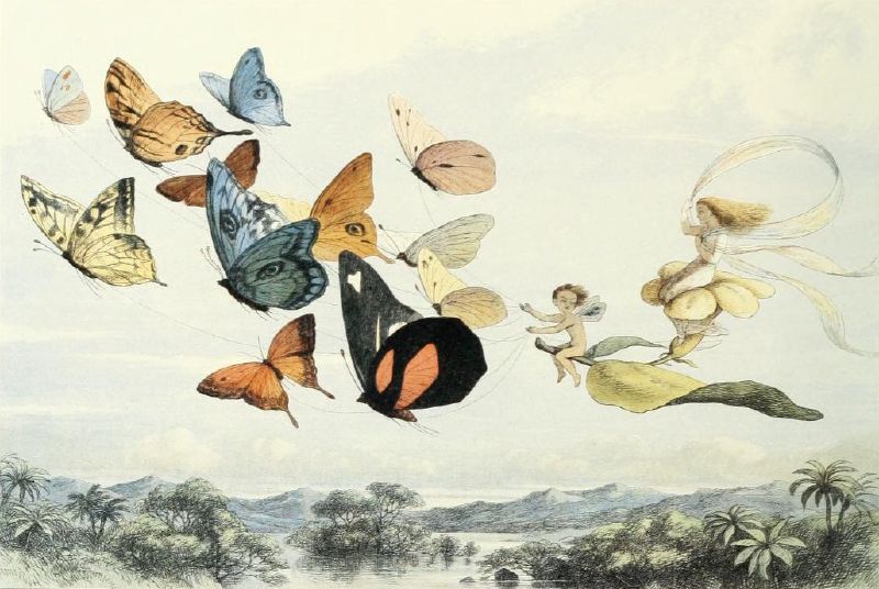 Richard Doyle's plate from In Fairyland, showing a fairy drawn through the air by butterflies.